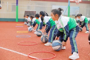如何对小学生篮球进行基础训练